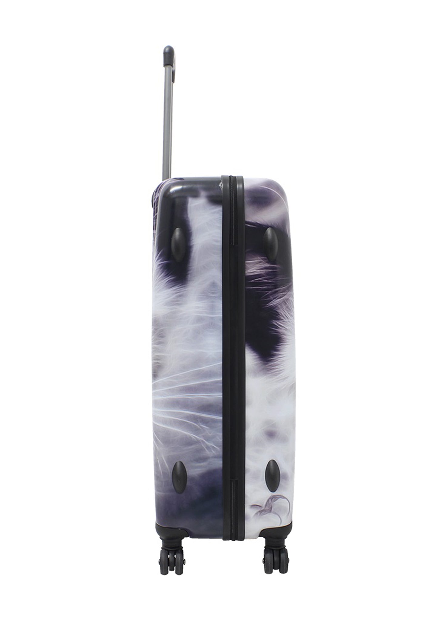 Saxoline White Cat Hard Luggage / Trolley / Suitcase Print