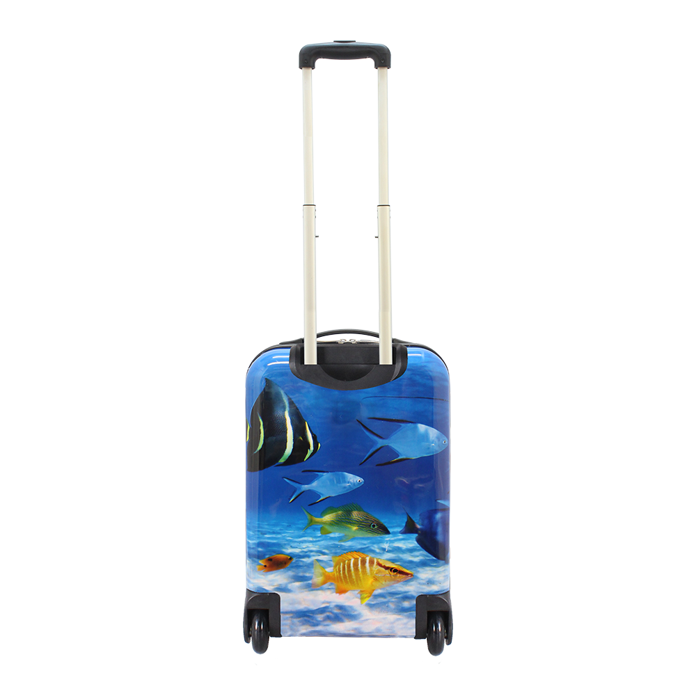 Saxoline printed hard luggage in HK