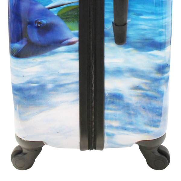 Saxoline Fish Tank hard case L - 1340H0.71.09